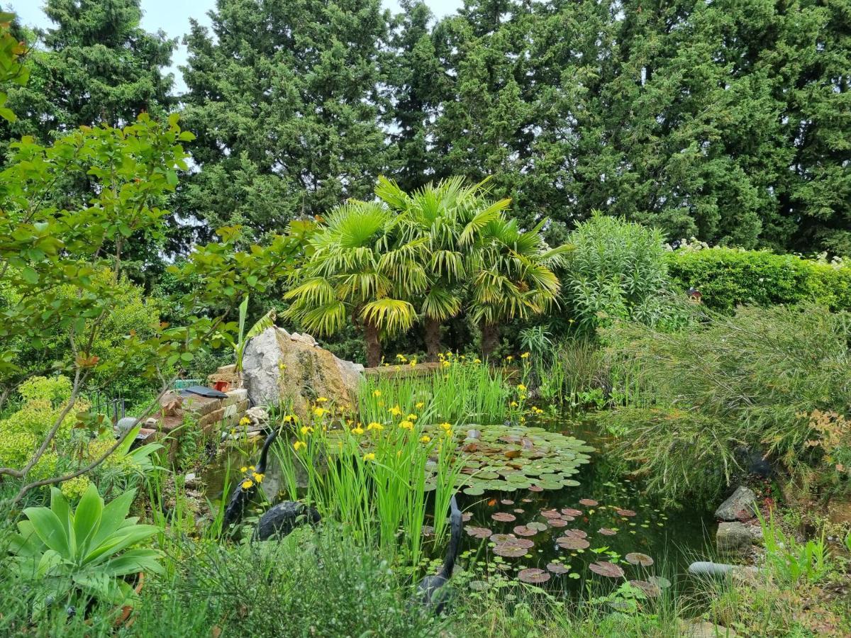 Garden Apartment Sečovlje Exteriör bild
